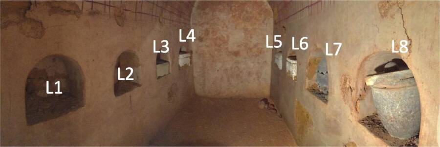 Tomb Where Oldest Wine Was Found