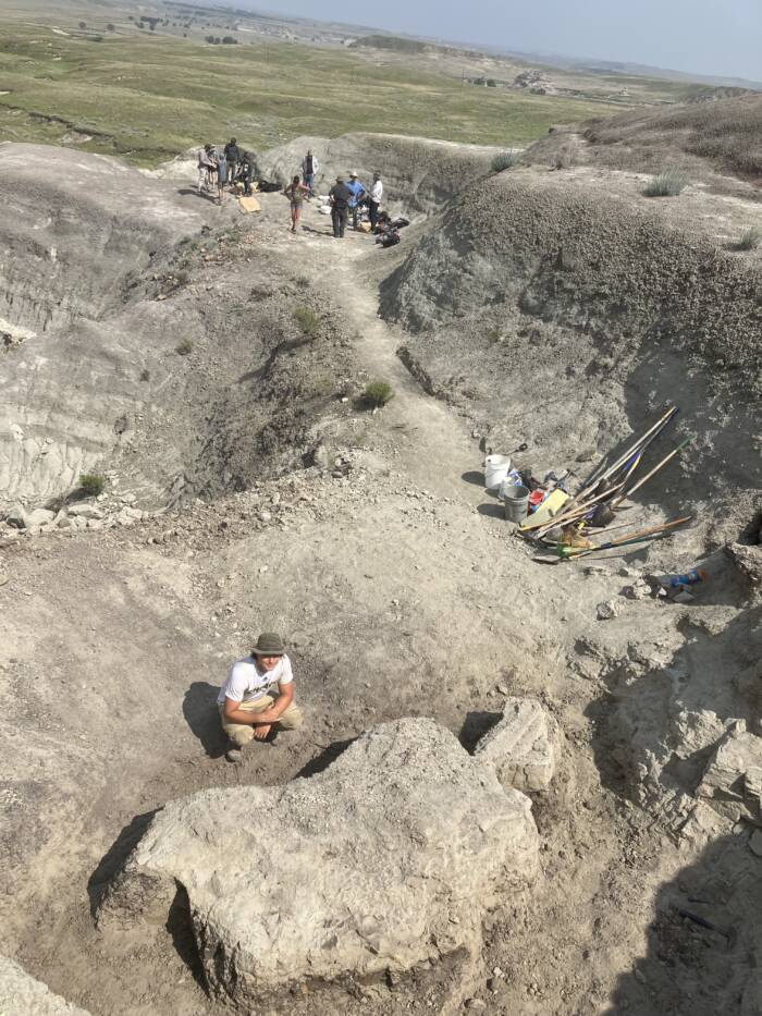 Partially Excavated T Rex