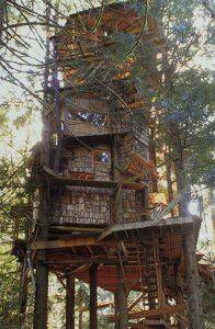 Treehouse