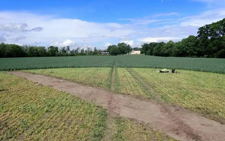 Viking Ship Burial Jarlsberg Manor