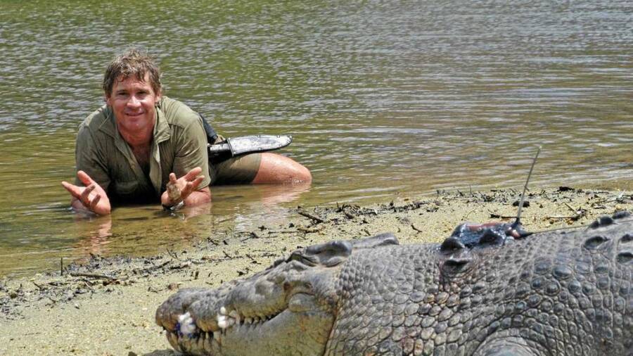 33 Wild Pictures Of Steve Irwin That Capture The 'Crocodile Hunter'