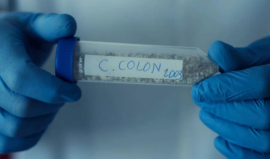 Christopher Columbus Bones