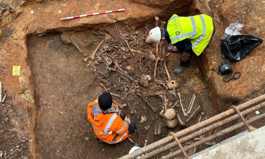 Skeletons In The Burial Pit