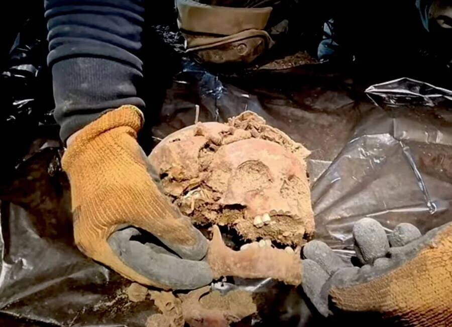 Skull Found At Wolf’s Lair