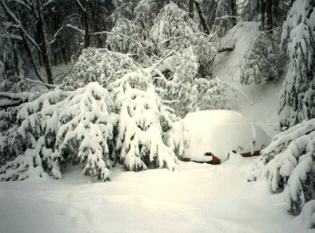 Snowfall In Asheville