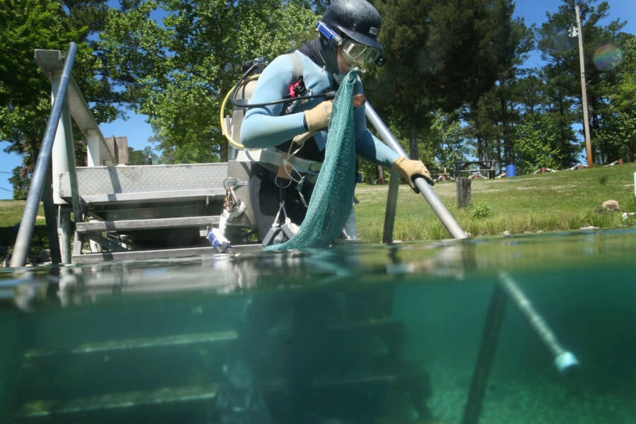 Eduardo Taran At Vortex Spring