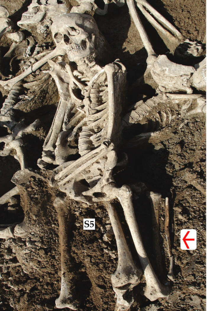 Han Warrior Skeleton