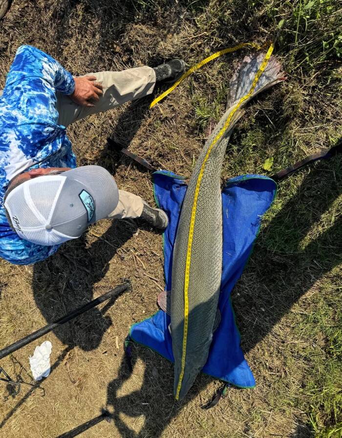 Captain Kirk Kirland Measuring The Gar