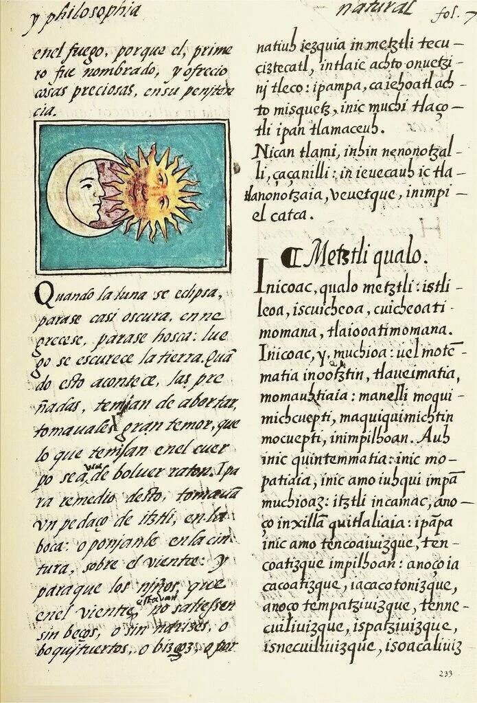 Maya Blue Florentine Codex