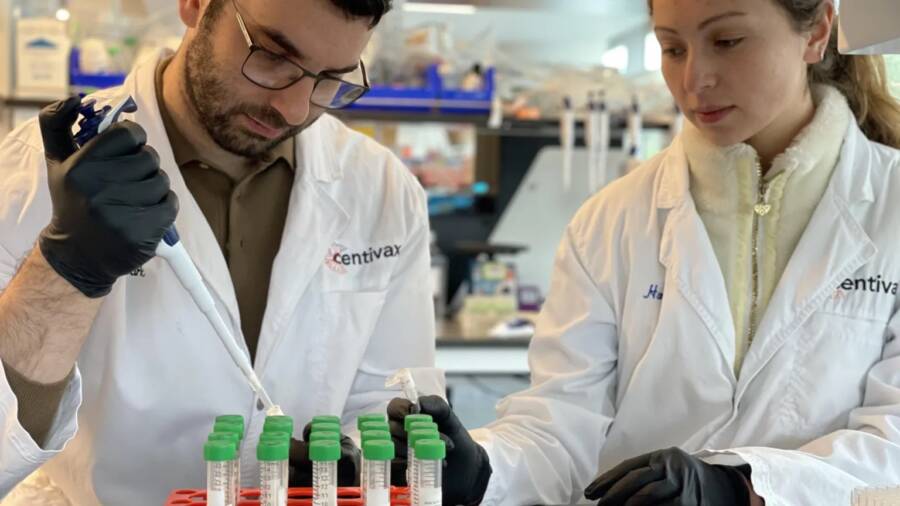 Researchers Developing The Antivenom