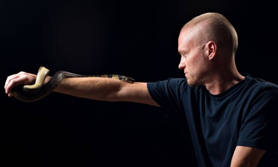 Tim Friede Universal Antivenom