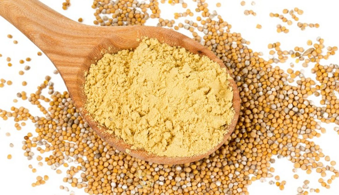 What Is The Difference Between Prepared Mustard And Dry Mustard