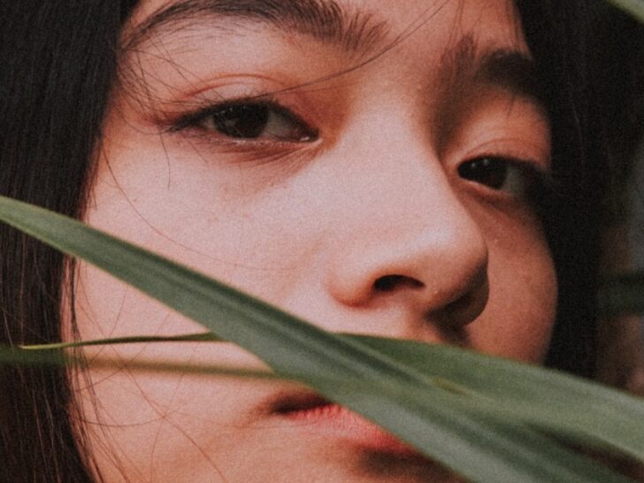 Asian Nose vs. Button Nose Understanding the Distinctions All The