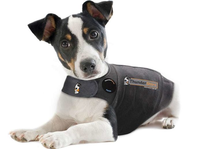 Thundershirt AntiStress Dog Jacket (Short Review)