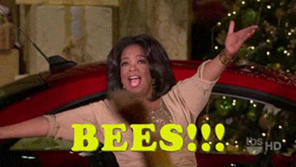 SkinnyScoop Bets That There's an Oprah in Everyone Camira Powell