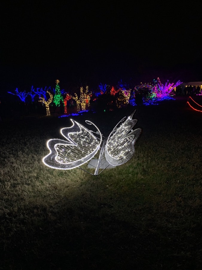 Christmas Lights at Meadowlark Winter Walk of Lights All Things Fadra