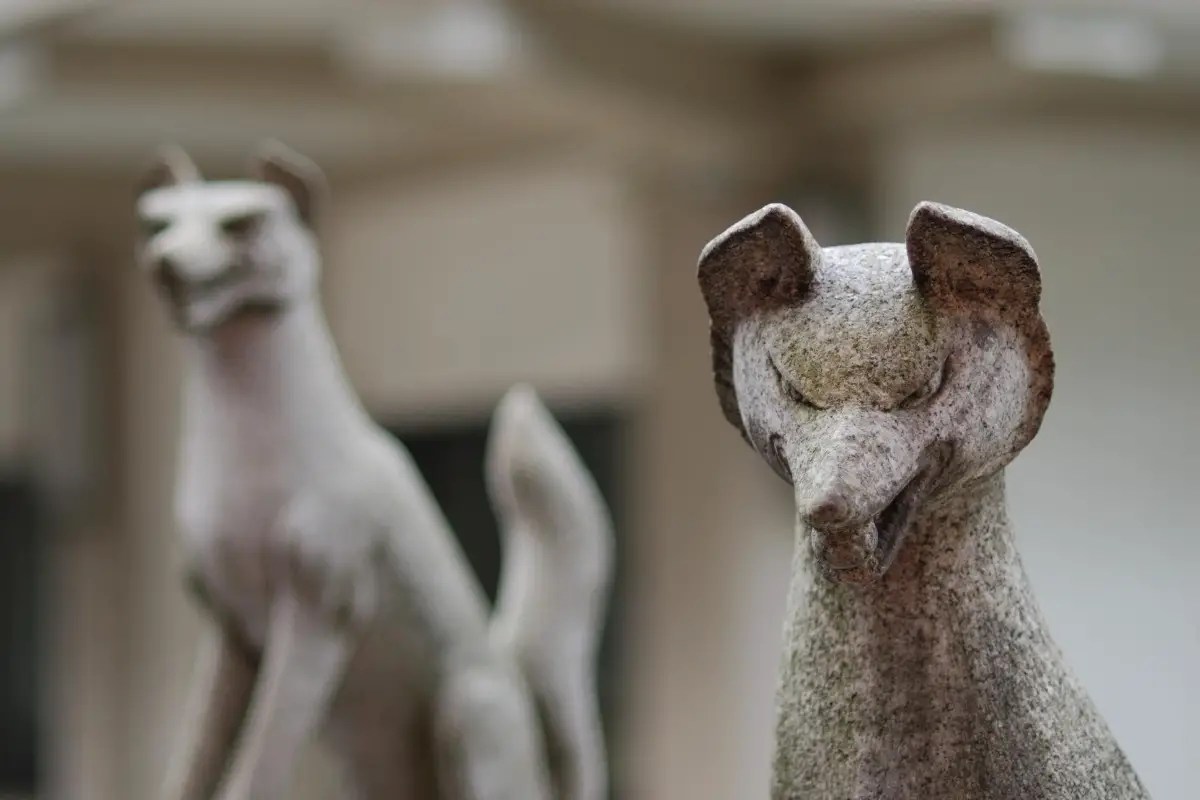 Fox Symbolism The Ultimate Guide All Things Foxes