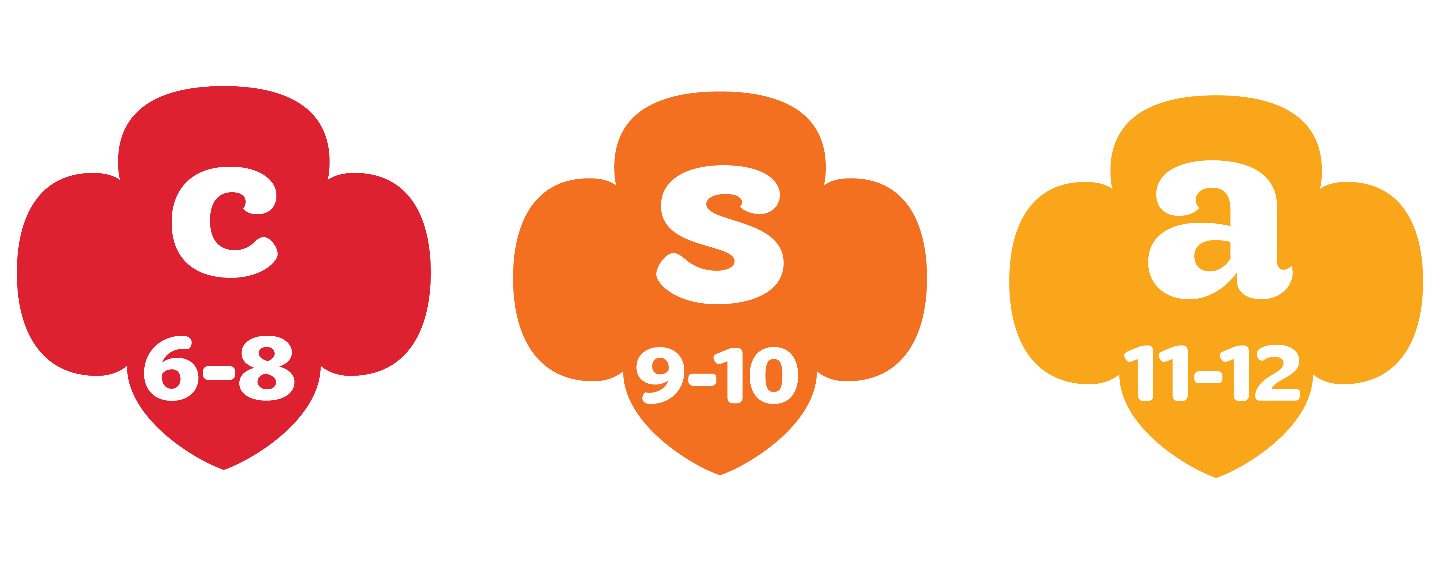 CSA Grade Level Long All Things Girl Scouts