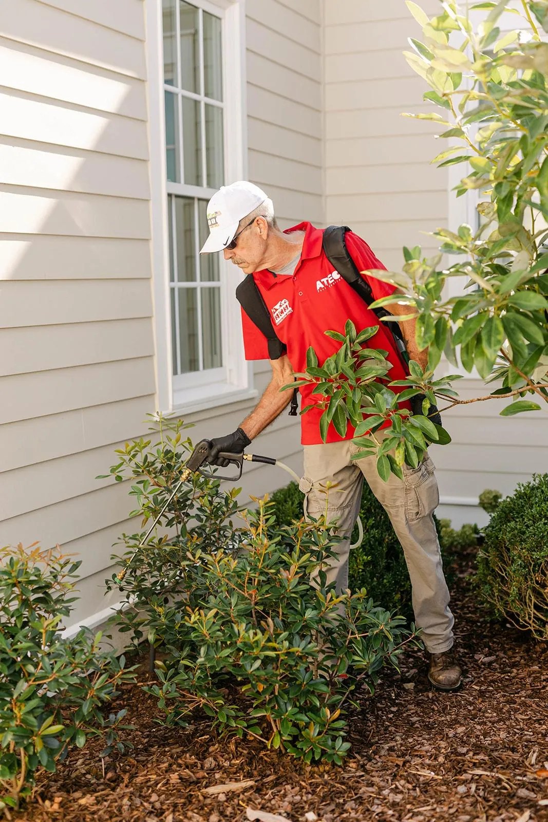 Pest Control in Madison, Alabama 6 Reasons to Hire ATEC