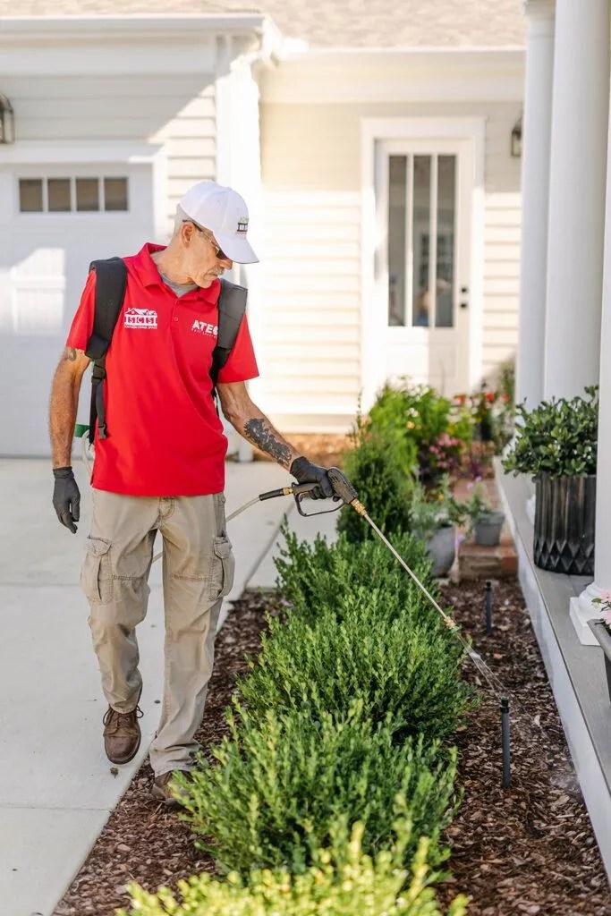 Pest Control in Madison, Alabama 6 Reasons to Hire ATEC All Things
