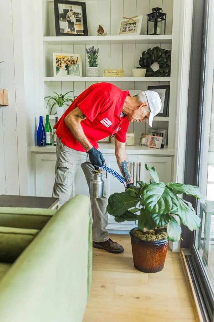 Pest Control in Madison, Alabama 6 Reasons to Hire ATEC All Things