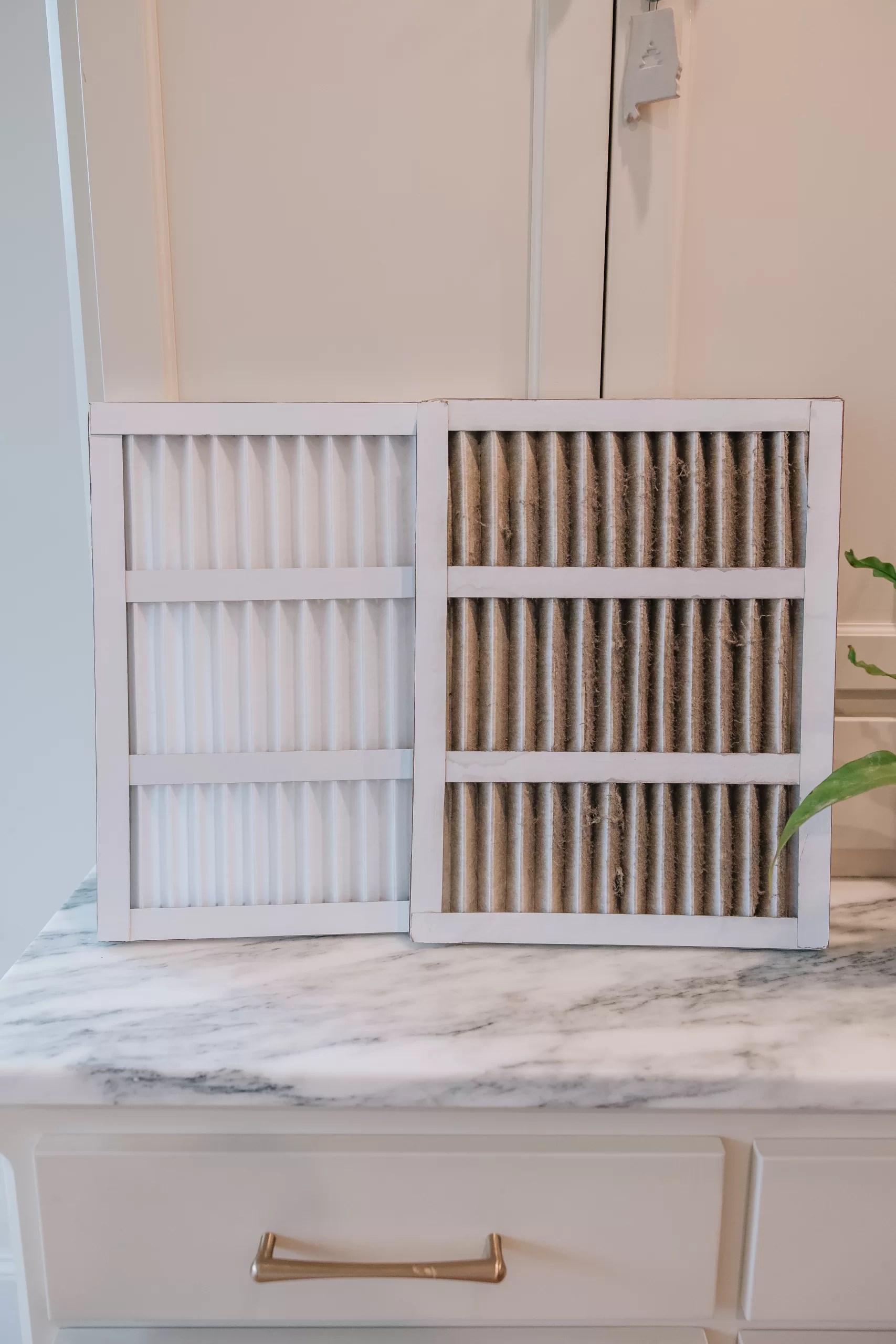 A Lesson in Window Cleaning by Rocket City Window Cleaning All Things