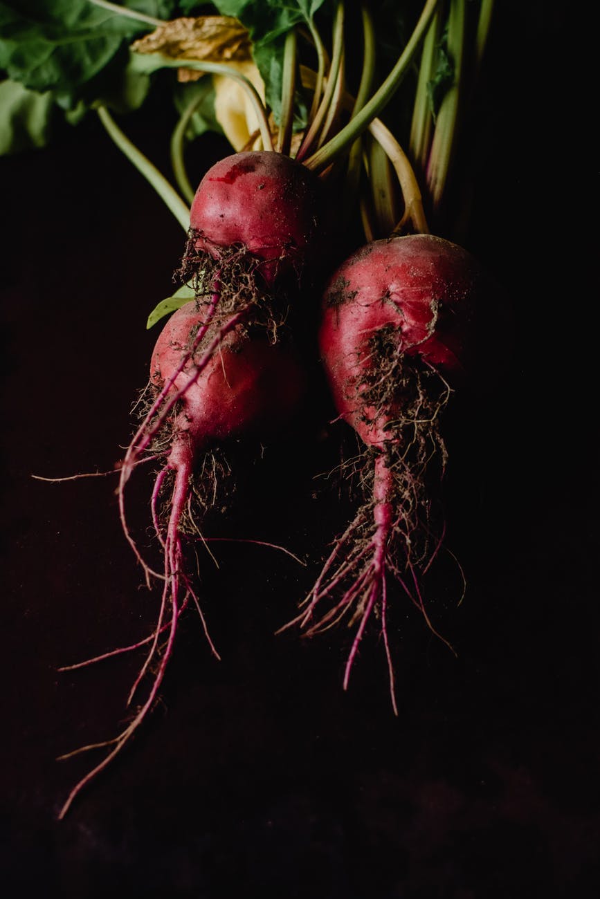 Are Beets Good For You? All Things Health and Wellness