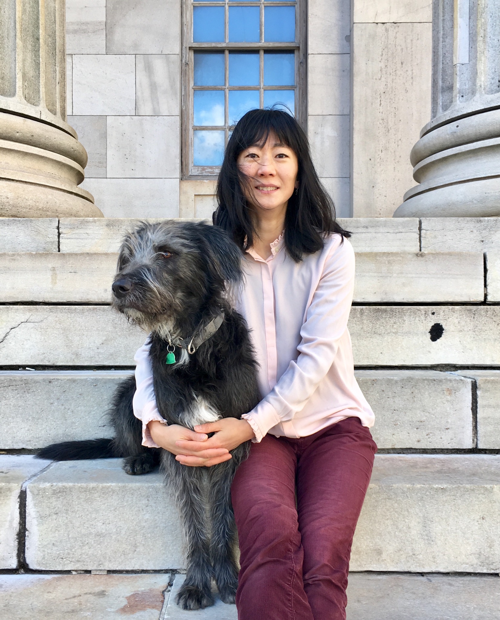 Dog Training New York City All Things Pups®