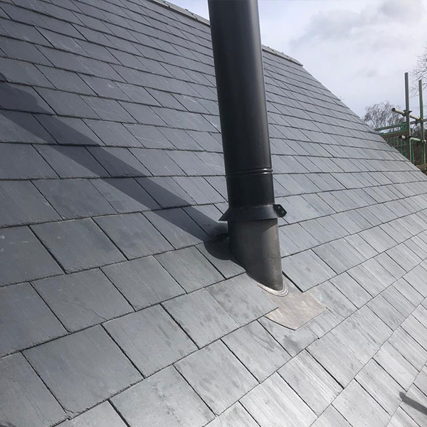 Trust our family to help your family