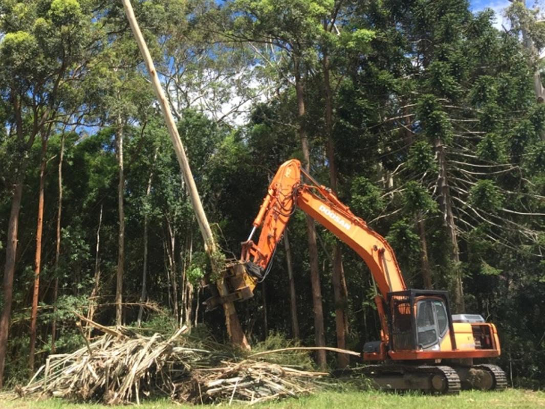 All Tree Works Tree Removal & Land Clearing Sunshine Coast Brisbane