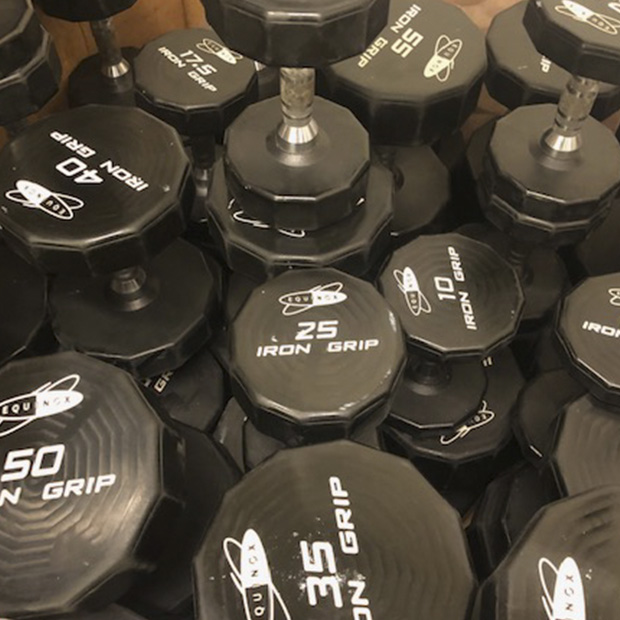 Iron Grip Urethane Dumbbells 10110 lbs