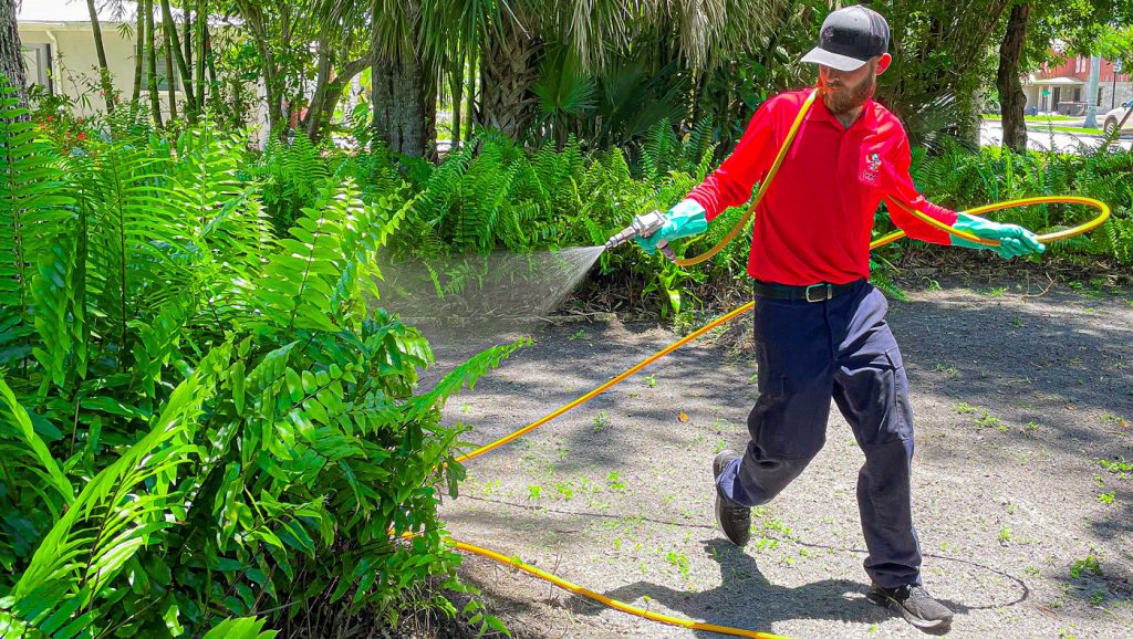 southwestflorida-pestcontrol.com The Hometown Service You.