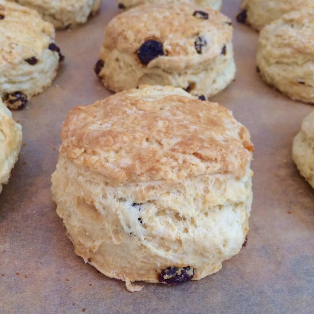 Honey & Raisin Scone