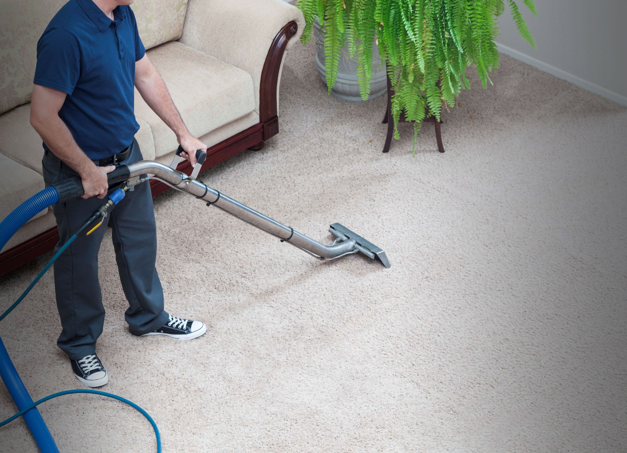 Carpet Cleaning Services Morristown Nj Carpet Vidalondon