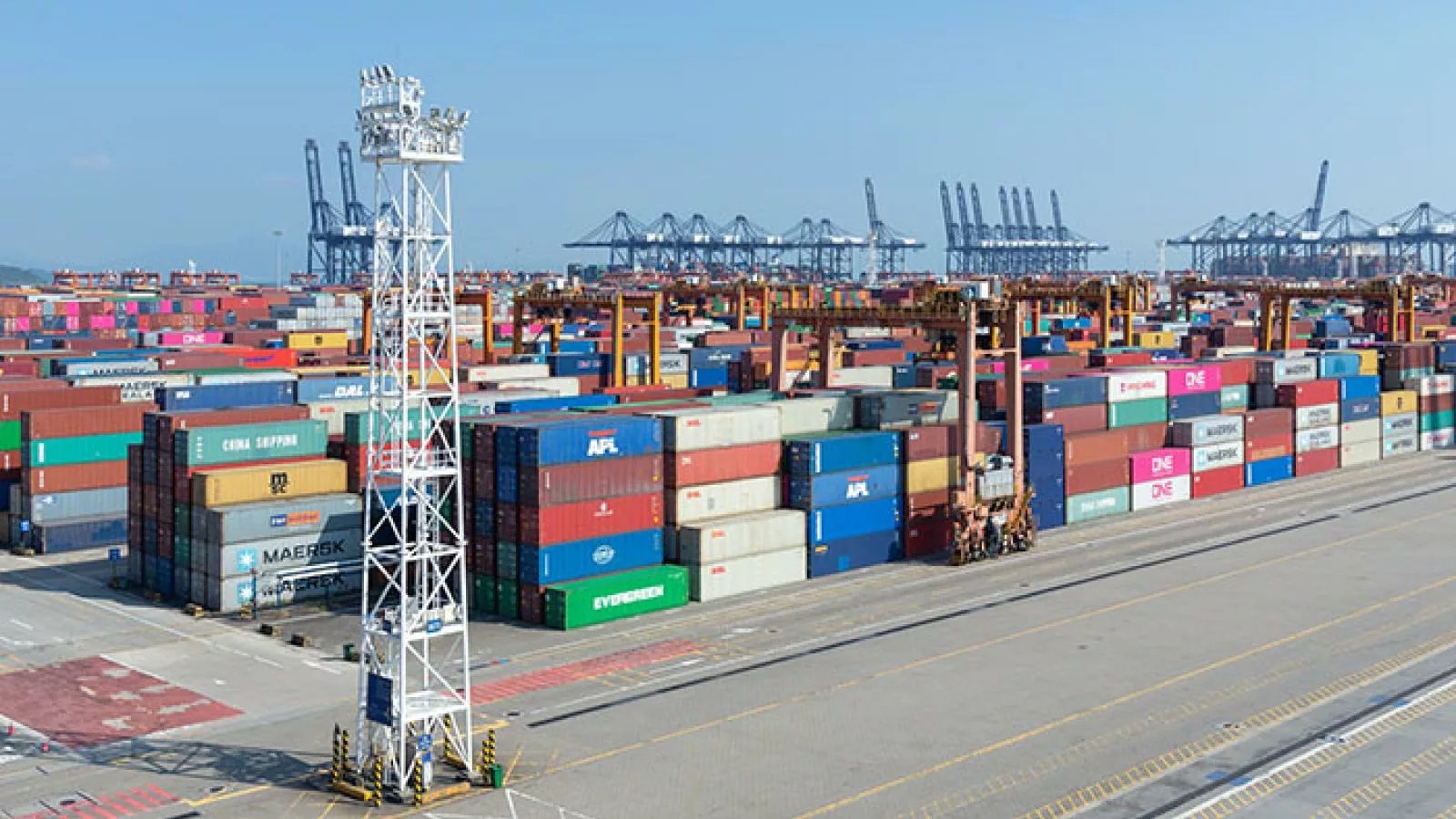 How Do Container Terminals Work? We Have the Answers Allwayforward