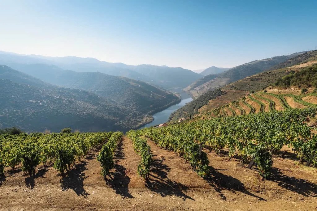 Best Douro Valley Wineries to Visit All Wine Tours