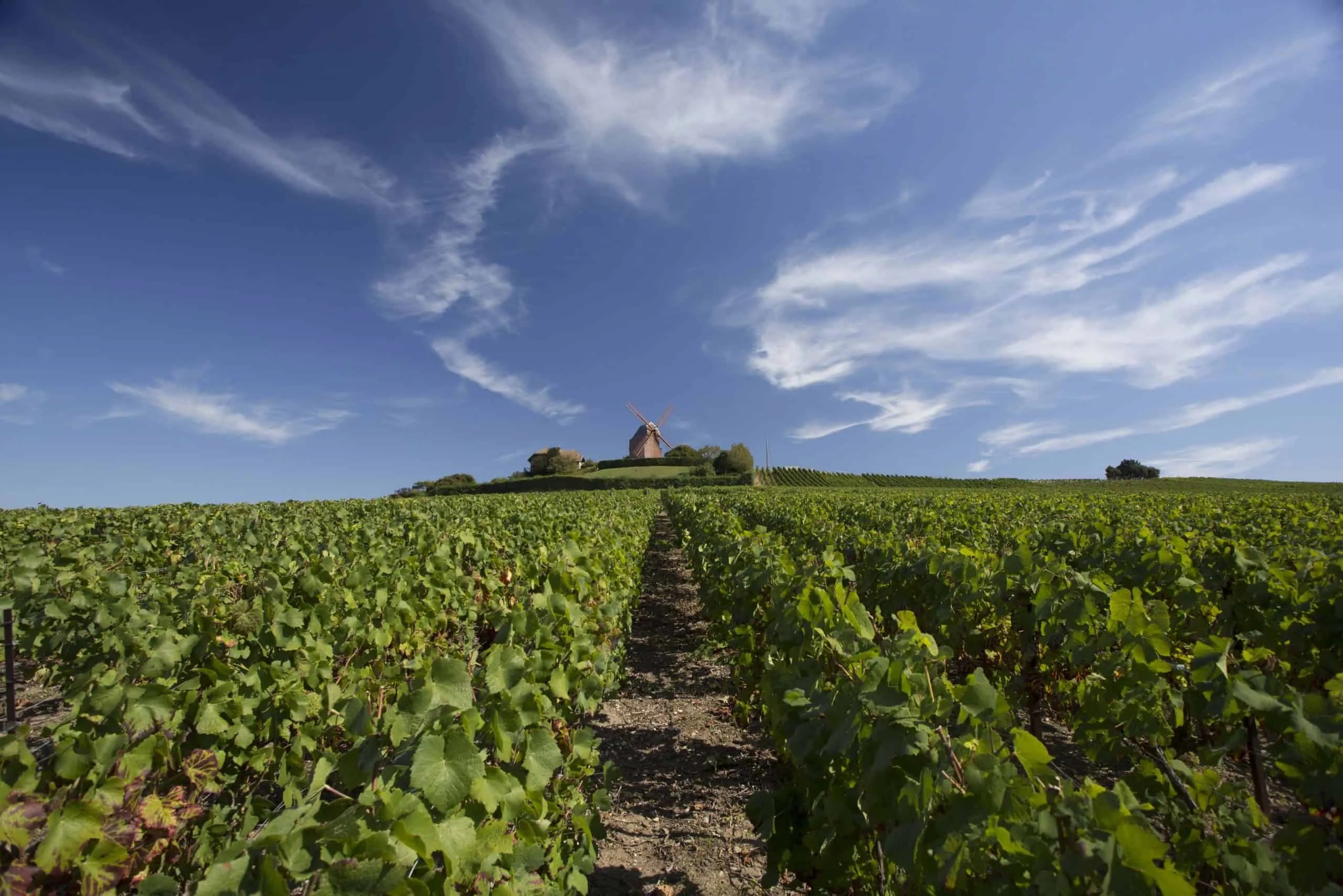 Best Champagne Houses to Visit All Wine Tours