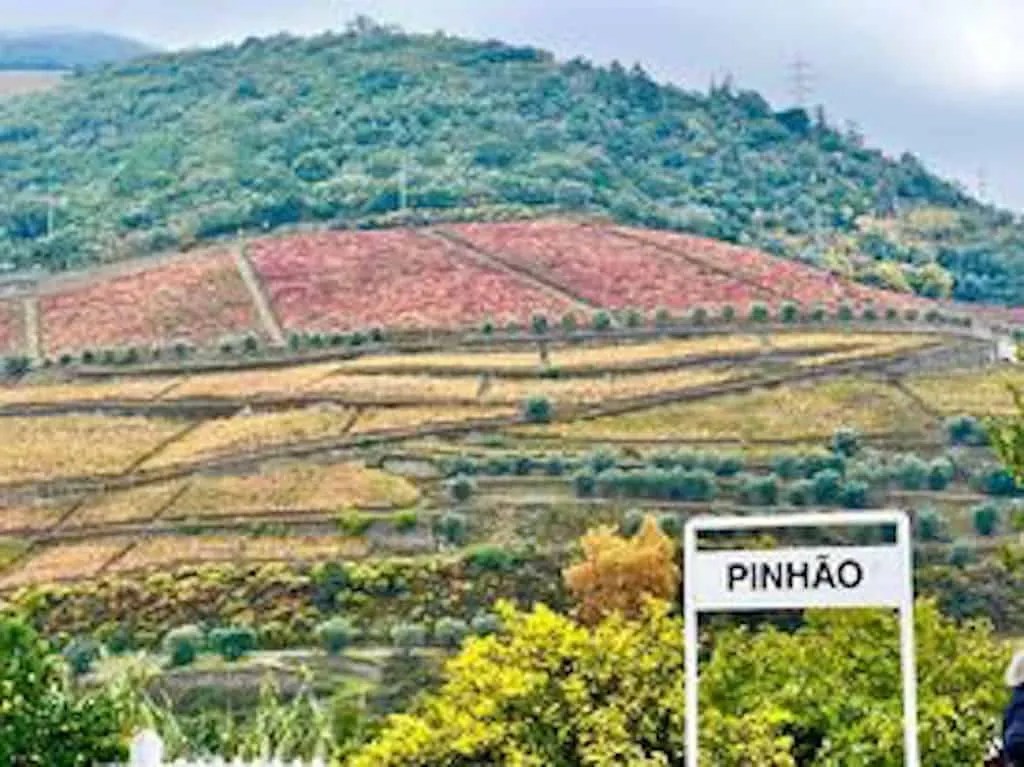 Map of Douro Valley Wineries All Wine Tours