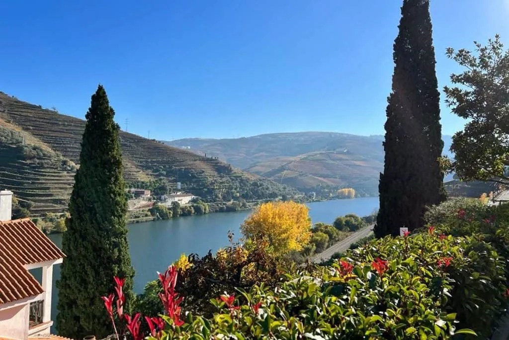 5 Best Douro Valley Wineries to Visit Near Pinhão All Wine Tours