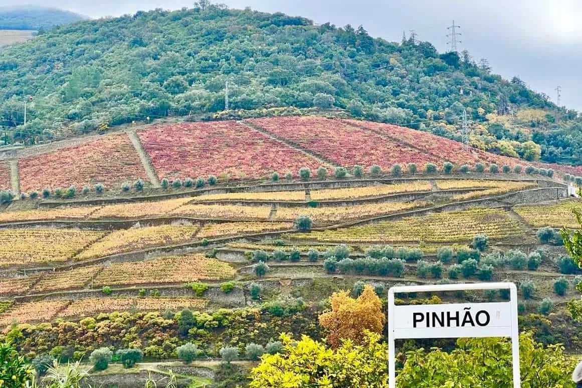 Douro Valley from Porto by Train (2024) All Wine Tours