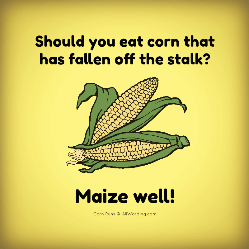 Lend Me Your Ears For This List of Corn Puns »