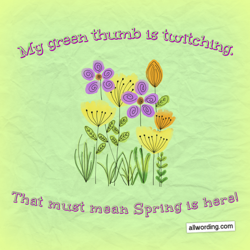 20+ Ways to Wish Everyone a Happy First Day of Spring »