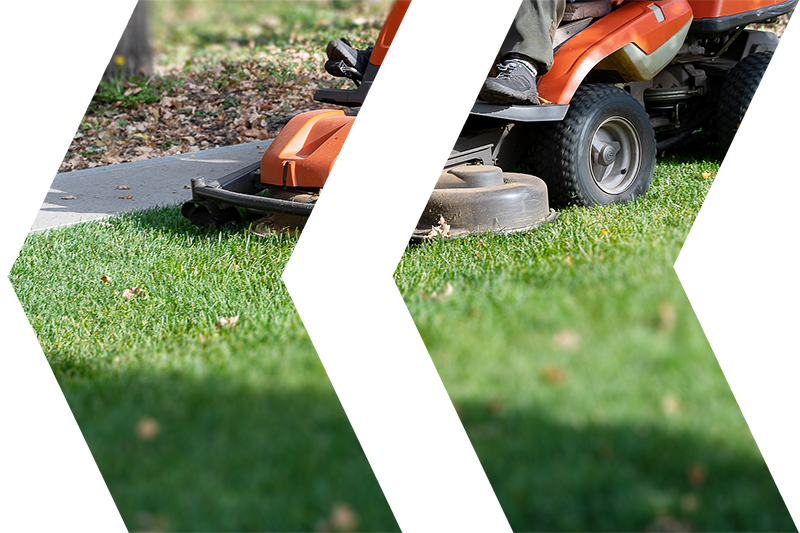 Landscaping & Lawn Care Vineland, NJ All Year Landscaping Corp