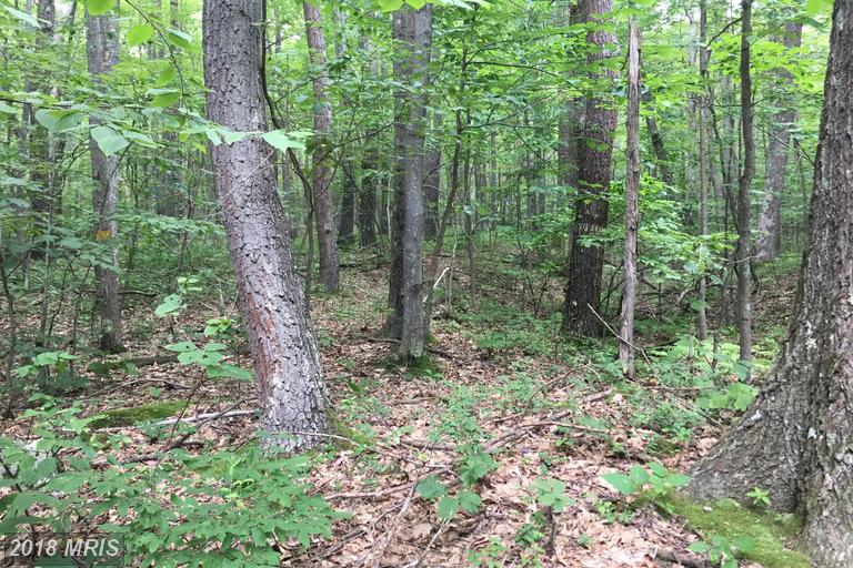 NEW LISTING 12 acres bordering Savage River State Forest Ally Litten