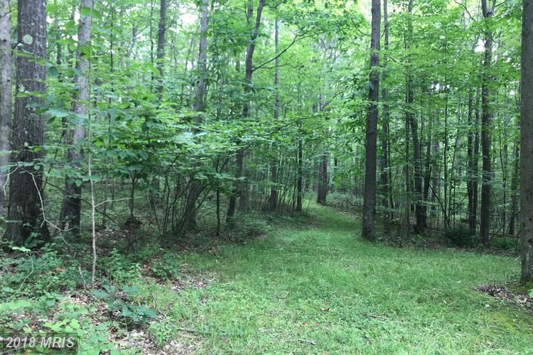 NEW LISTING 12 acres bordering Savage River State Forest Ally Litten
