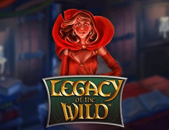 Allyspin Casino est un casino autorisé et agréé pour les parieurs français.