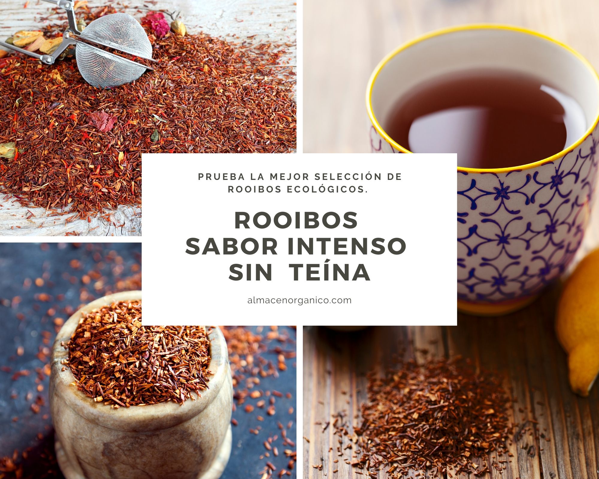Jetzt Artikel Großzügigkeit que es el te rooibos Dokumentieren Salz Im