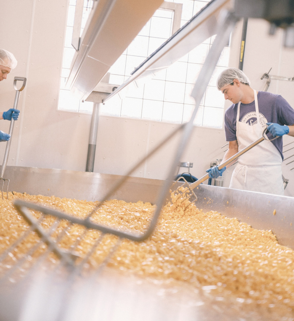 Kansas Tradition Alma Cheese