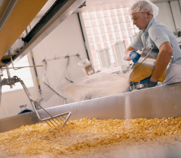 Visit us Alma Cheese