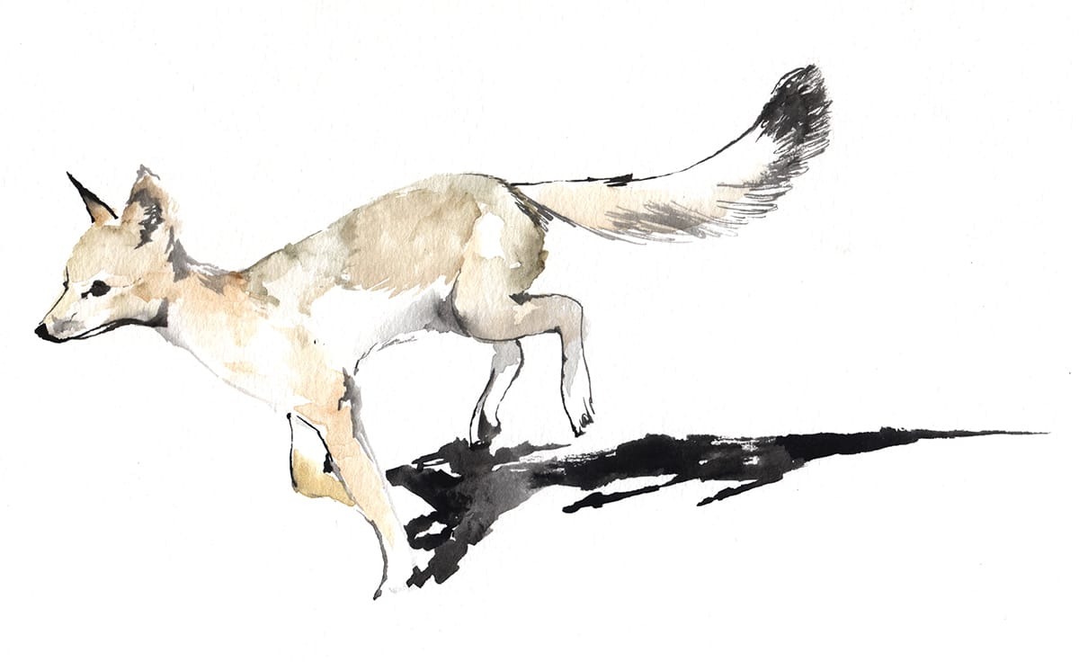 Trade & Media Alma Fria